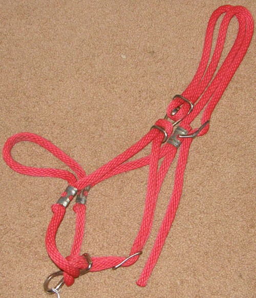 halters rope